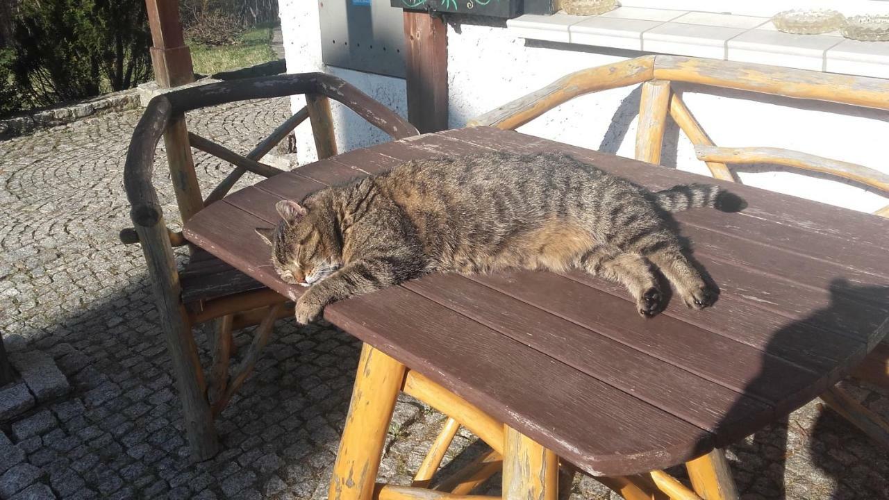 Willa Urocza Hotel Karpacz Buitenkant foto